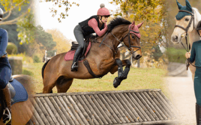 Why Is LeMieux So Popular? Quality, Innovation & Style Explained