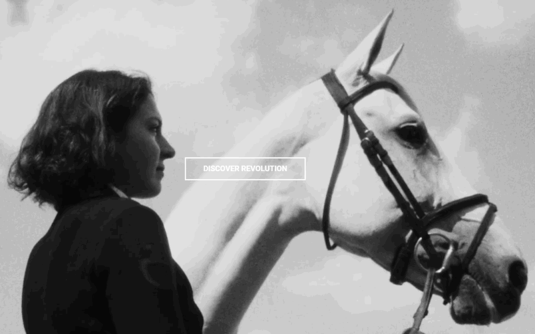 Top 6 Luxury Equestrian Brands in 2025