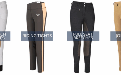 Jodhpurs vs Breeches vs Riding Tights: Which is Right for You?