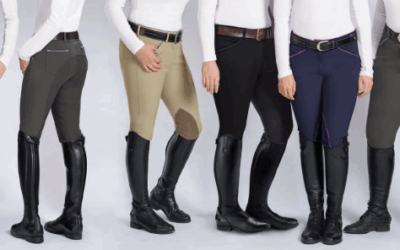 10 Types of Horse Riding Pants & How to Choose for Every Rider